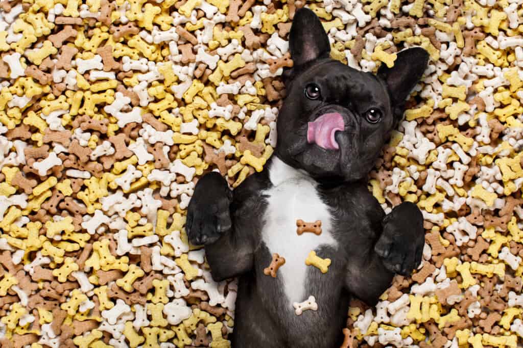 how to ship pet food and supplies
