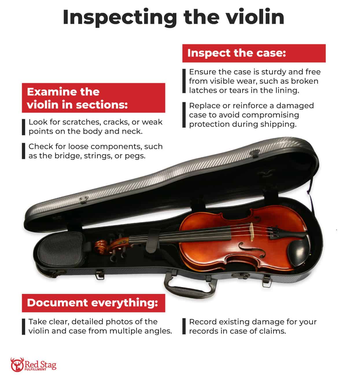 Inspecting the violin Inspecting the violin